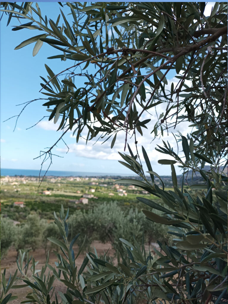 casettedicalzata_1500x2000_3